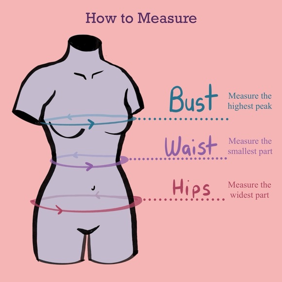 Where is Bust, Waist, and Hips - Picture 1 of 2